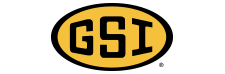 GSI